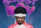 Kuami Eugene – Promise Me ft. Johnny Drille