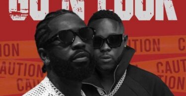 Bisa Kdei Ft Medikal – Go N Look