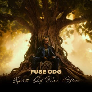 Fuse ODG – Dear Me