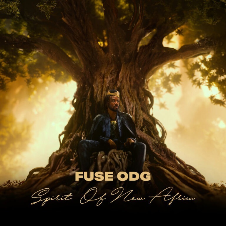 Fuse ODG – Dear Me