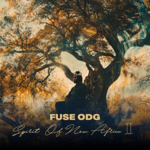 Fuse ODG – We Story
