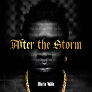 Shatta Wale - Kakai Art Cover