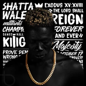 Shatta Wale - Rosalinda
