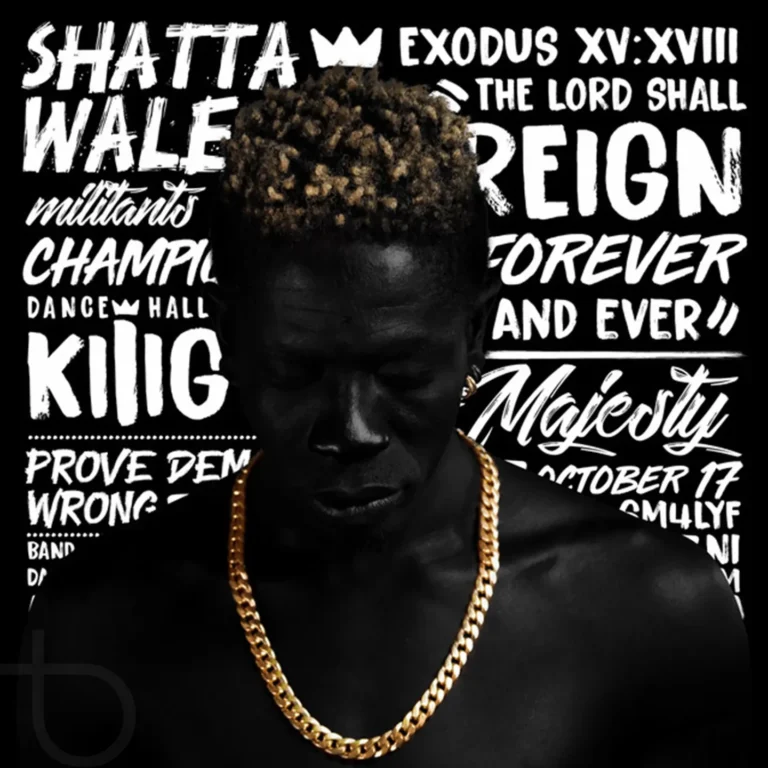 Shatta Wale - Amount
