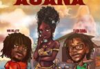 Mr Blayy - Asana ft. Fahim Dumba