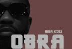 Bisa Kdei - Obra
