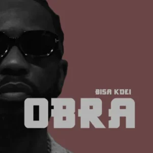 Bisa Kdei - Obra