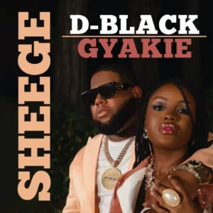 D-Black & Gyakie - Sheege