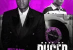 DJ Tee Phillips - Best Of Ruger 2026 Mixtape