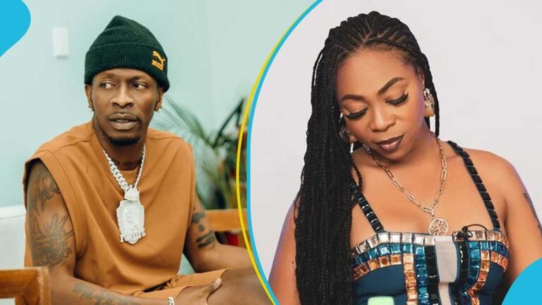 "Oh My: You Couldn't Pay GH¢15K For Your Son" - Michy Drags Shatta Wale Over $65K House Claims