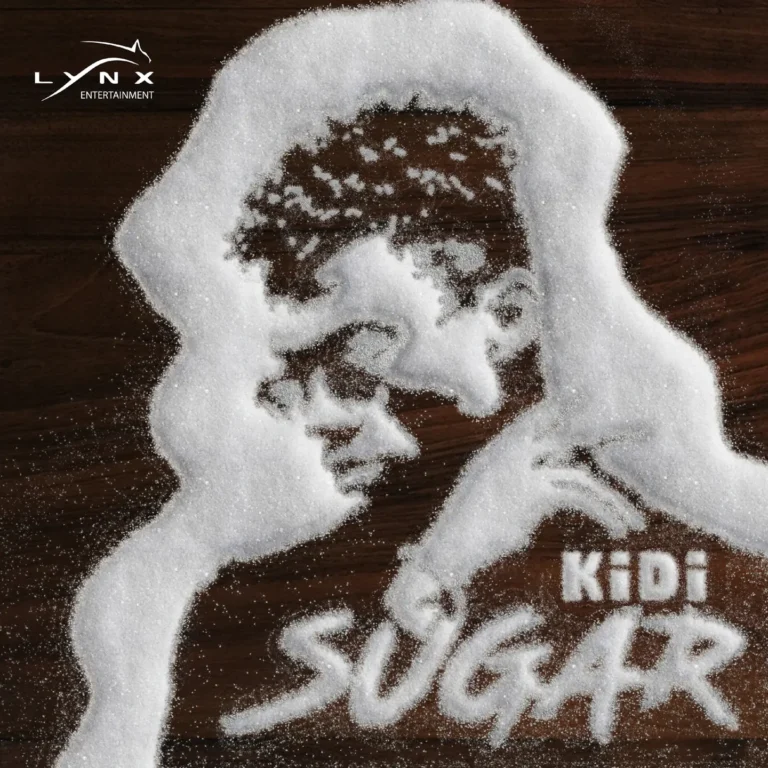 KiDi - Say You Love Me ft Cina Soul