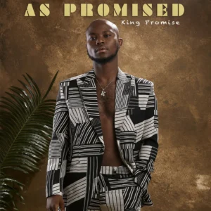 King Promise - I Tried