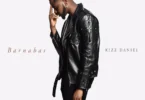 Kizz Daniel – Pour Me Water