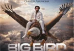 Lyrical Joe – Big Bird