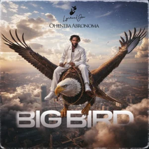 Lyrical Joe – Big Bird 