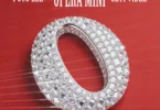 Poco Lee x Seyi Vibez – Opera Mini