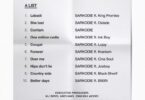 Sarkodie - Jamz Album