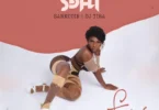 Sefa - Fever ft. Sarkodie & DJ Tira