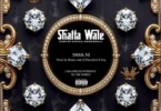 Shatta Wale - Yawa Ni