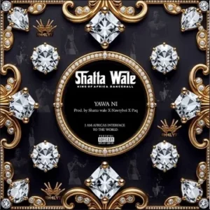 Shatta Wale - Yawa Ni