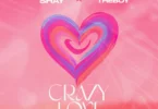 Wendy Shay & Olivetheboy - Crazy Love