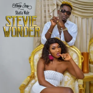 Wendy Shay - Stevie Wonder ft. Shatta Wale