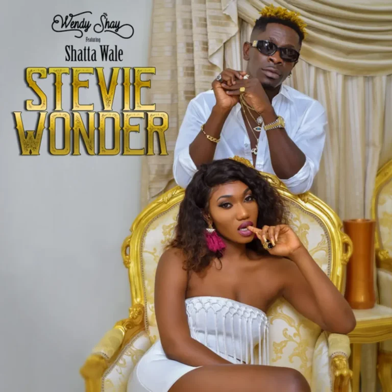 Wendy Shay - Stevie Wonder ft. Shatta Wale