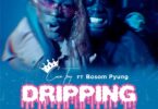 Cocotrey Ft. Bosom P-Yung - Dripping