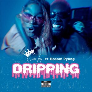 Cocotrey Ft. Bosom P-Yung - Dripping