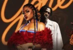Adina Thembi - Gone Ft. King Paluta