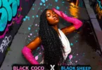 Black Coco Ft Blaqk Sheep - Back It Up