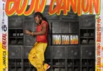 Buju Banton - Too Too Bad Album Zip