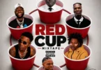 DJ Don Idan Bulu - Red Cup Afro Mixtape 2026