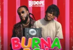 DJ Dope - Best Of Burna Boy 2026 Mixtape