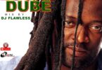 DJ Flawless - The Best Of Lucky Dube Mix