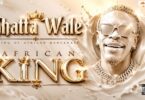 DJ Sedan - African King Album Mix 2026