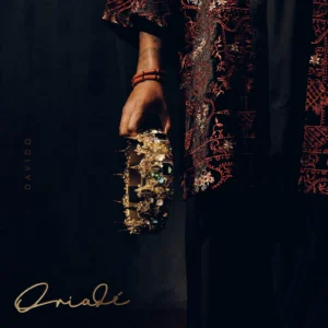 Davido - Oriadé [Full Album Download]