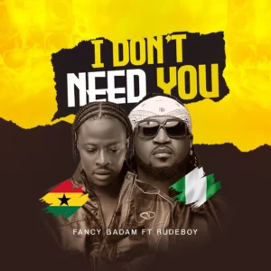 Fancy Gadam - I Don't Need You ft. Rudeboy