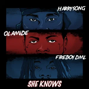Harrysong Ft. Fireboy DML & Olamide - She Knows