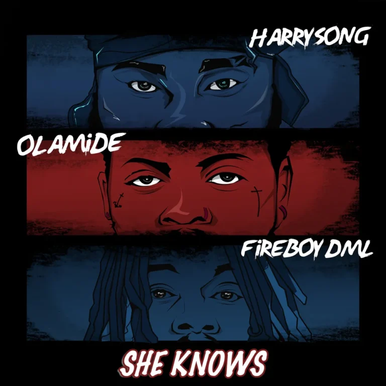 Harrysong Ft. Fireboy DML & Olamide - She Knows