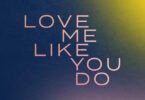 Ellie Goulding - Love Me Like You Do Lyrics