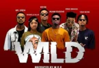 Kuami Eugene Ft Mr Drew, KRYMI, King Maaga, Yaw Berk & Rashelle Blue - Wild