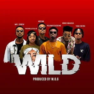 Kuami Eugene Ft Mr Drew, KRYMI, King Maaga, Yaw Berk & Rashelle Blue - Wild
