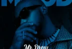 Mr Drew - Mood