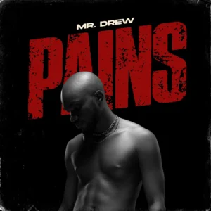 Mr Drew - Pains