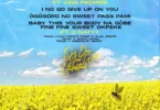 Mr Eazi & emPawa Africa - One Day You Will Understand EP