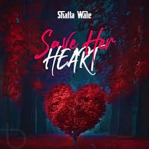 Shatta Wale - Save Her Heart