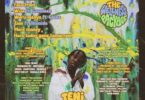 Teni - The Wellness Package ( Full Album)