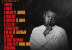 Kwesi Amewuga - Tough Skin Album