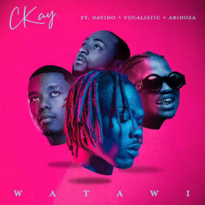 CKay - WATAWI ft Davido, Focalistic & Abidoza